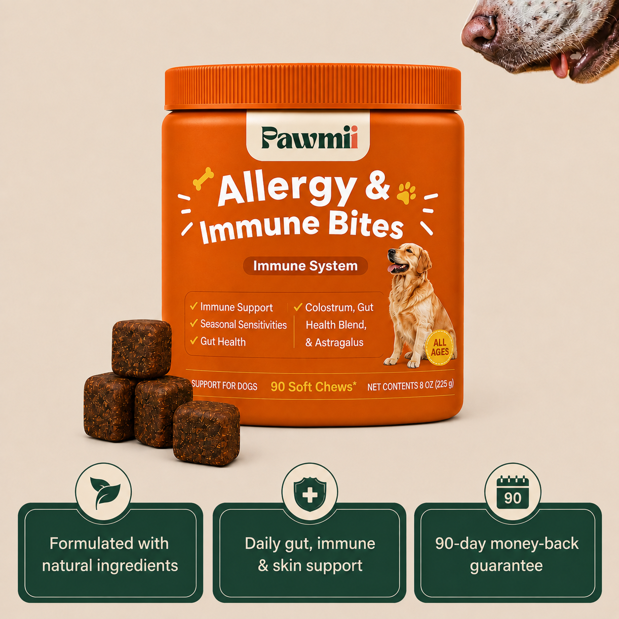Immunity & Skin Support™ | Comfort From Within