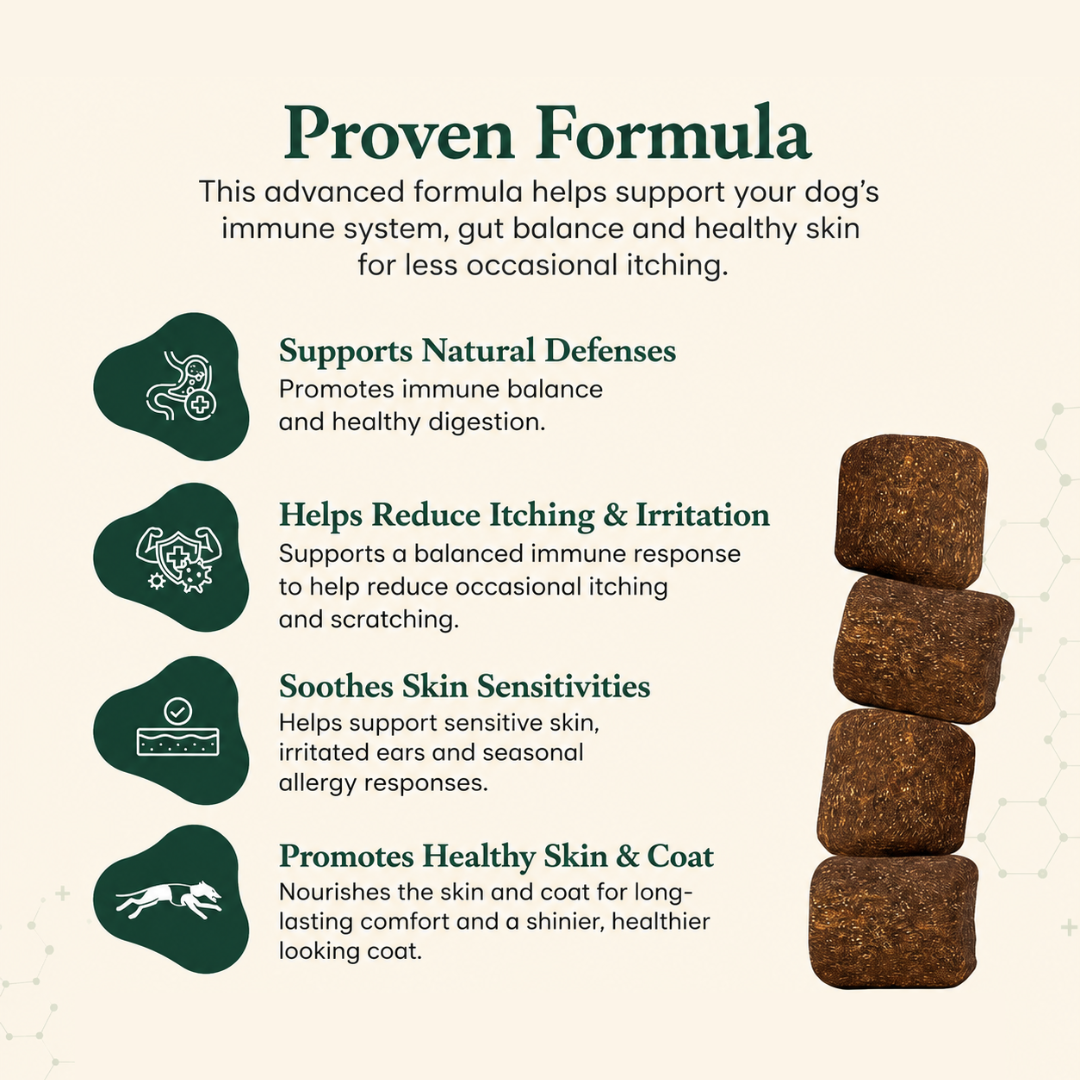 Immunity & Skin Support™ | Comfort From Within