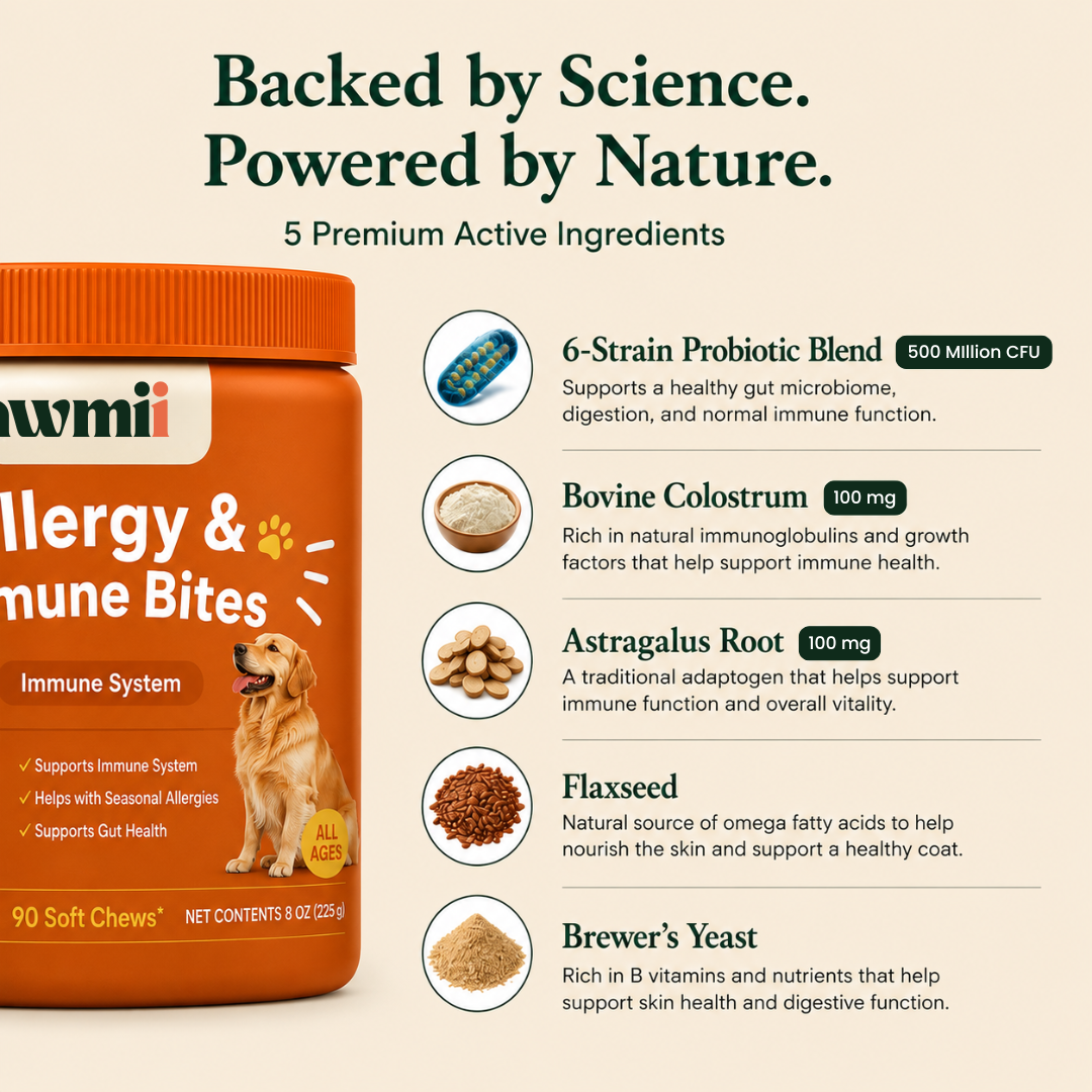 Immunity & Skin Support™ | Comfort From Within
