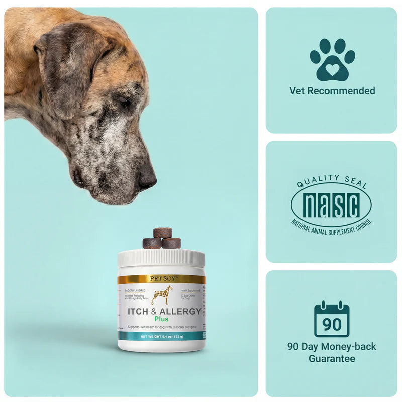 Itch & Allergy Plus Chews